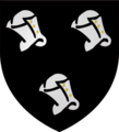 The arms of the Kennedys
