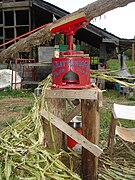 Horse-driven, antique sorghum-cane juicer being operated at an organic farm in central North Carolina, for syrup production