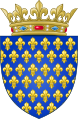 Arms of the Kingdom of France.