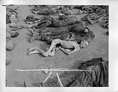 Corpses after liberation