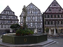 Traditional houses on market square