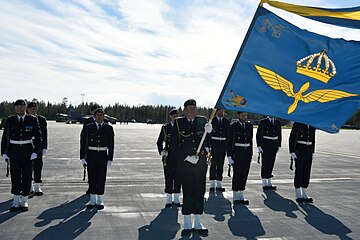 Honor guard with the wing's colour