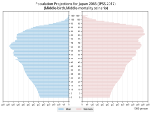 Population Pyramids of Japan 2065. (Middle-birth, Middle-death scenario case)