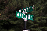 Street names in Concord