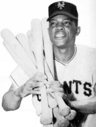 Photograph of Willie Mays in a Giants uniform cradles six bats over his right shoulder