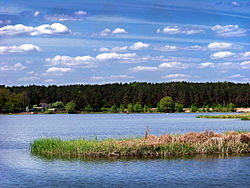 Martyrskogo Reservoir, Gryazinsky District