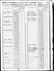 Black-and-white scan of microfilm of ledger recording demographic statistics of slaves owned by white people in the county