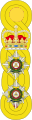 1881 to 1902 colonel's shoulder rank insignia