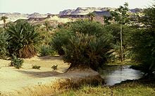 The oasis at Bilma, Niger