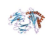 1jge: HLA-B*2705 bound to nona-peptide m9