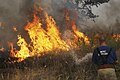 Image 19A Russian firefighter extinguishing a wildfire (from Wildfire)