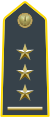 Senior Captain (Primo Capitano)