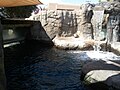 El Paso Electric Sea Lion Amphitheater