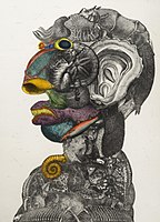 Arcimboldesque head, 1975, colored akvatint