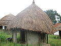 Acholi Old man House