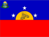 Flag of La Fría