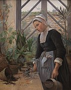 Bretagne-pige ordner planter i et drivhus