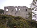 Ruine der Burg Falkenstein