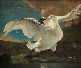The Threatened Swan (c. 1650) by Jan Asselijn