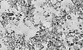Image 18Diatomaceous earth, by Richard Wheeler (from Wikipedia:Featured pictures/Sciences/Geology)