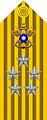 General Special Class rank insignia (ROC) - V.jpg