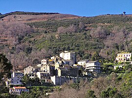 A view of Lucciana village
