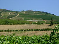 Historische Kulturlandschaft der Weinregion Tokaj