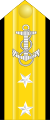 Vicealmirante (Honduran Navy)[28]