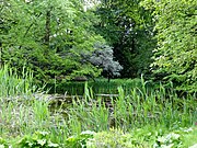 Großer Teich, ehemalige Quelle des Heidekampgrabens