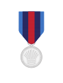 Border Operations Medal