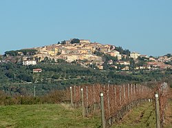 Panorama of Castagneto Carducci