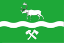 Flag of Tyndinsky District