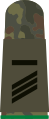 Hauptgefreiter UA (Heer, mountain infantry, field uniform)