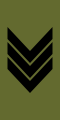 Sersjant (Norwegian Army)[71]