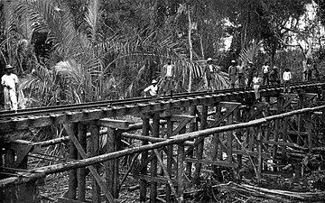 Construction of a railroad by Congolese workers