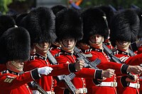Welsh Guards from the British military