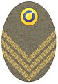 Hat badge (Mössmärke m/1940) for a captain in the army