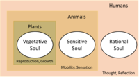 Aristotle proposed a three-part structure for souls of plants, animals, and humans, making humans unique in having all three types of soul. For a good compliation of Aristotle's sayings (and misattributions) see my pages of note.