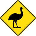 (W5-45) Emus crossing