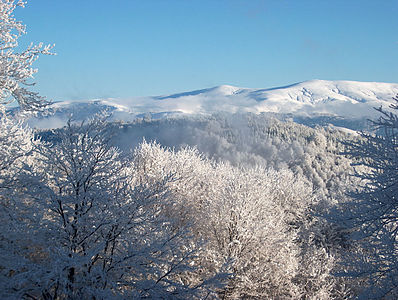 Carev Vrv, Osogovo Mountain