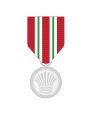 Disciplined Services Medal for Meritorious Service - Police Force