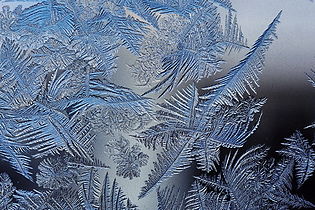 Frost crystals occurring naturally on cold glass form fractal patterns
