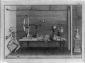 Legs of dissected frogs, and various metallic apparatus used to measure what was thought to be electricity flowing in animals LCCN92518867.tif