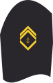 Dienstgradabzeichen eines Obermaats (20-er Verwendungsreihe) auf dem Oberärmel der Jacke des Dienstanzuges für Marineuniformträger
