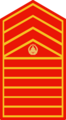 Philippine Marine Corps FCMS