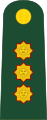 General de división (Peruvian Army)[24]
