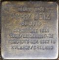 Stolperstein Köln, Harry Herz (Häuschensweg 18)