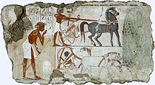 ancient Egyptian painting showing a horse-drawn chariot and another drawn by a pair of animals which could be mules or onagers