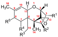 Chemical structure of the trichothecene core