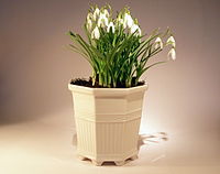 Porcelain flower pot designed by Prince Eugen, popular in Sweden.[8]